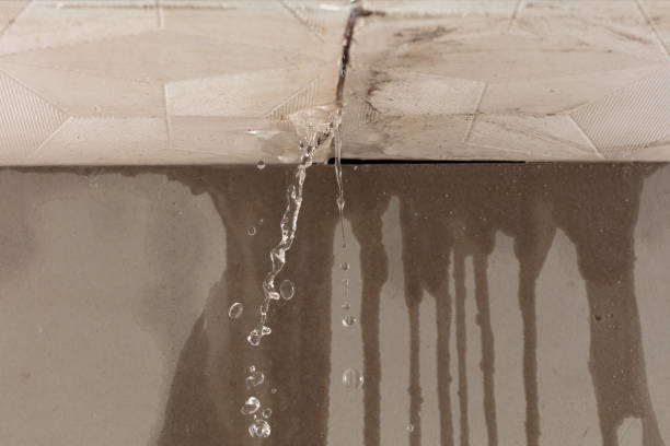Professional Flood Damage Cleanup technician working in Tigerton, WI